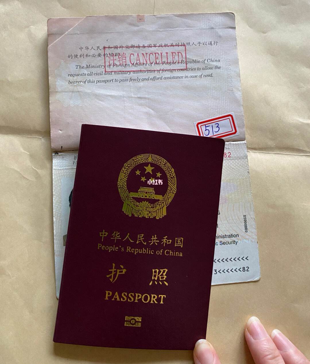 护照的照片要求(护照的照片要求严格吗)