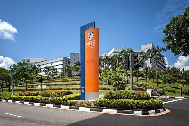 新加坡国立大学费用(新加坡国立大学费用一年是多少)