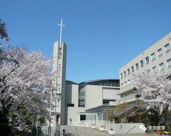 日本的大学排名(日本的大学排名等级是什么)