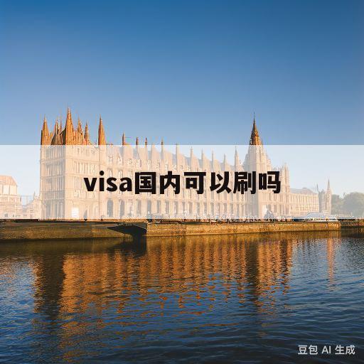 visa国内可以刷吗(visa的信用卡在国内可不可以刷)