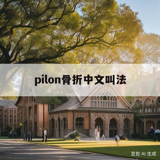 pilon骨折中文叫法(pilon骨折是什么意思)