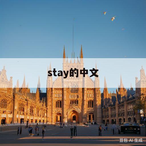 stay的中文(stayed的中文)